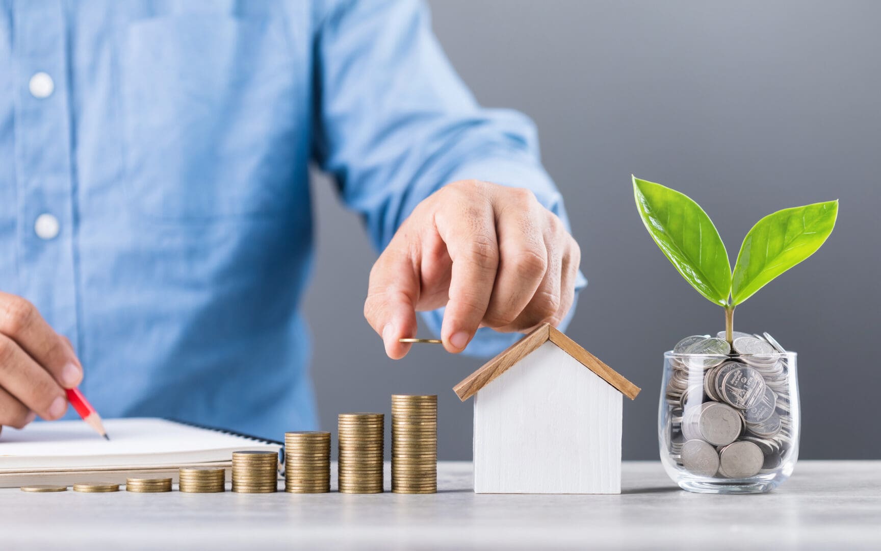 Financial planning with coins and plant