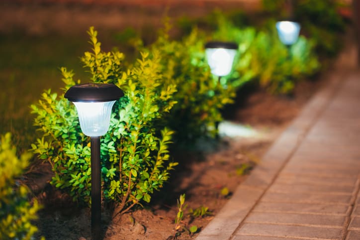 Solar garden lights illuminating a pathway through green shrubs at night.
