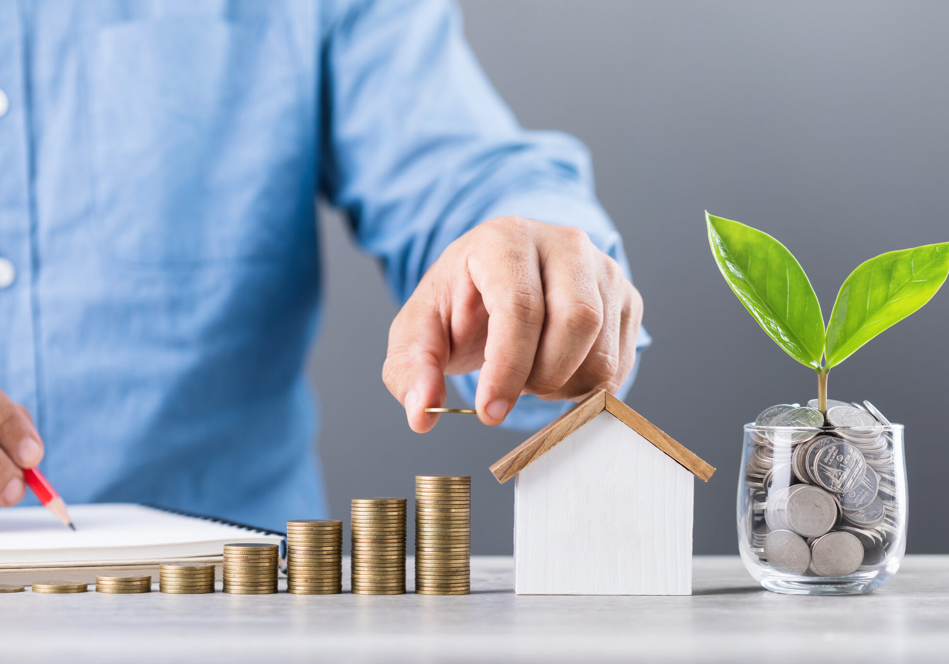 Financial planning with coins and plant