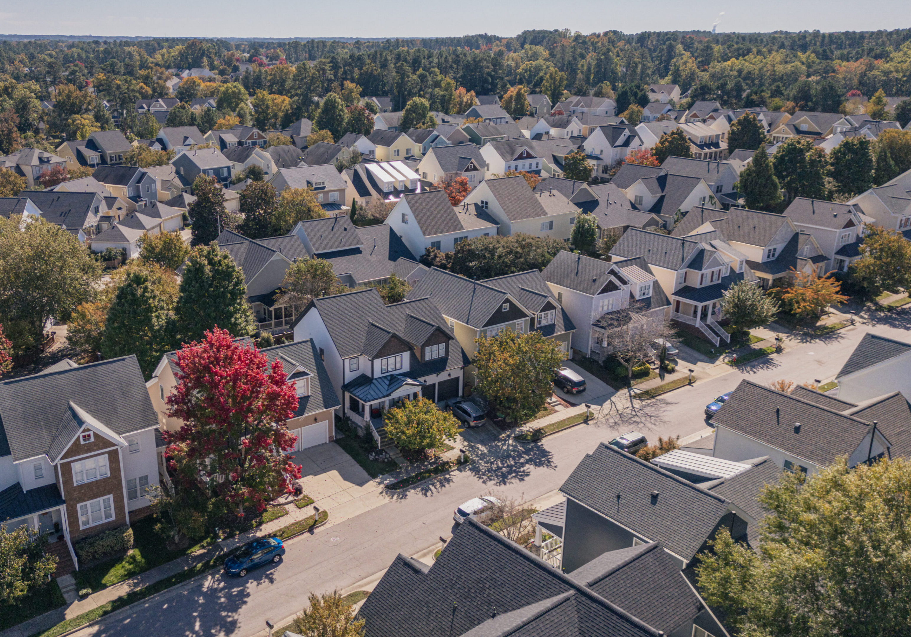 Houses surrounded by autumn trees