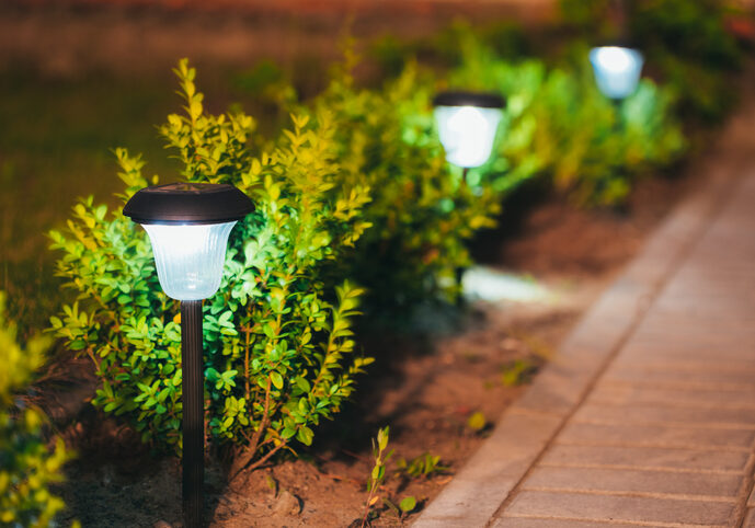 Solar garden lights illuminating a pathway through green shrubs at night.