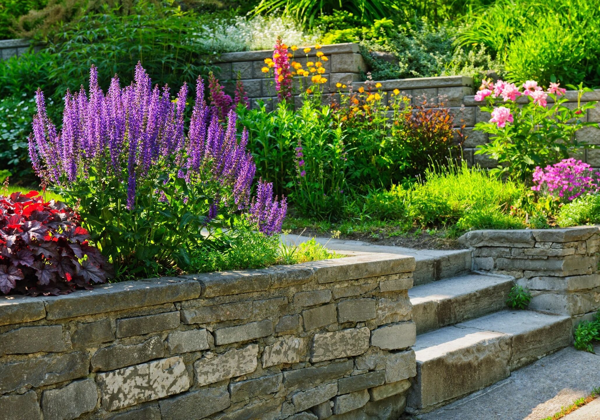 Stone steps leading through a vibrant garden with blooming flowers.