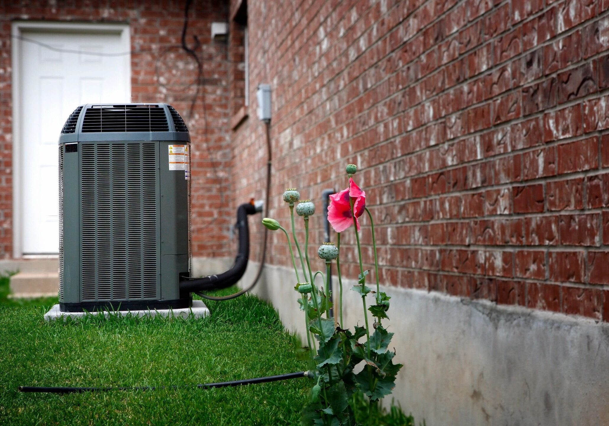 A red rose blooming beside a brick wall with an air conditioning unit in the background.