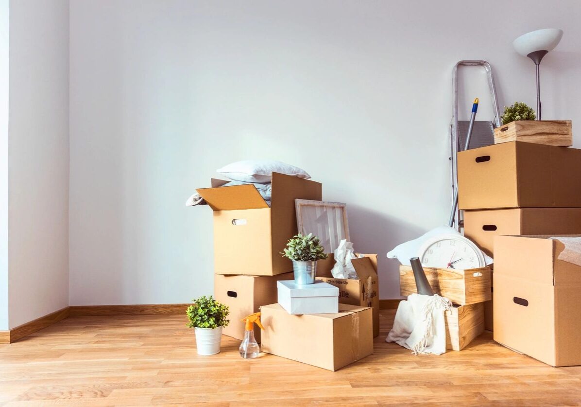 Packed cardboard boxes and plants in a bright room ready for moving.