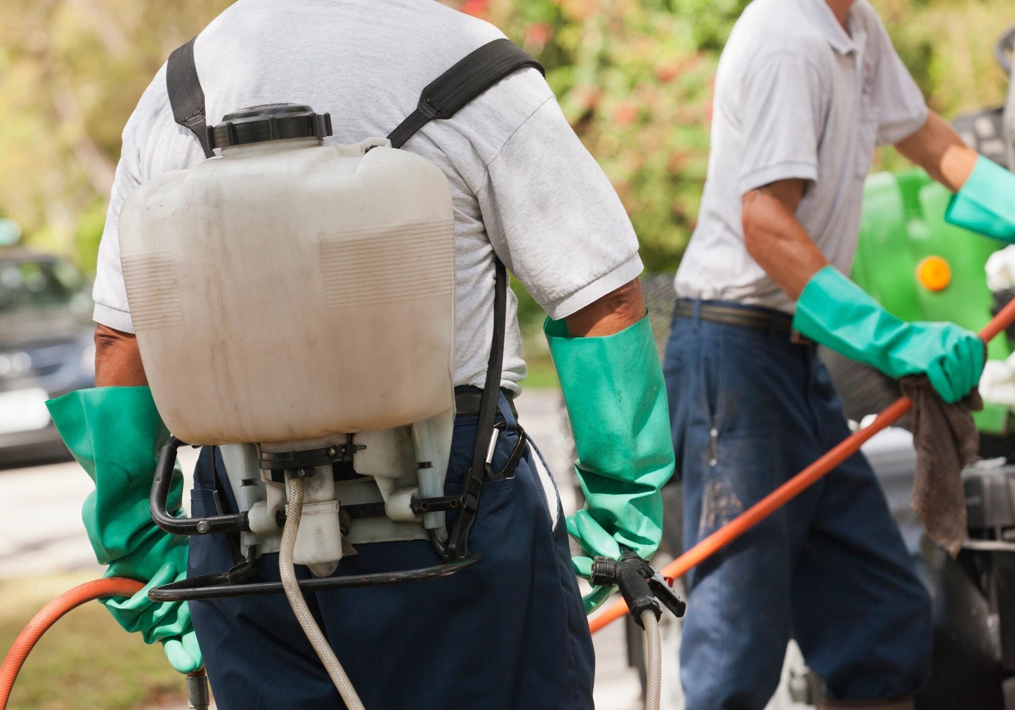 Workers wearing protective gear using sprayers for outdoor pesticide application.