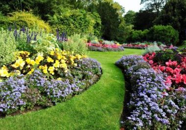 A vibrant garden with a colorful flower beds and lush green grass.