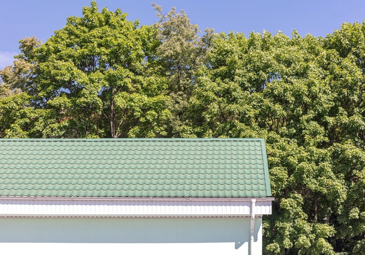 Green roof of a building against a backdrop of trees and clear sky.